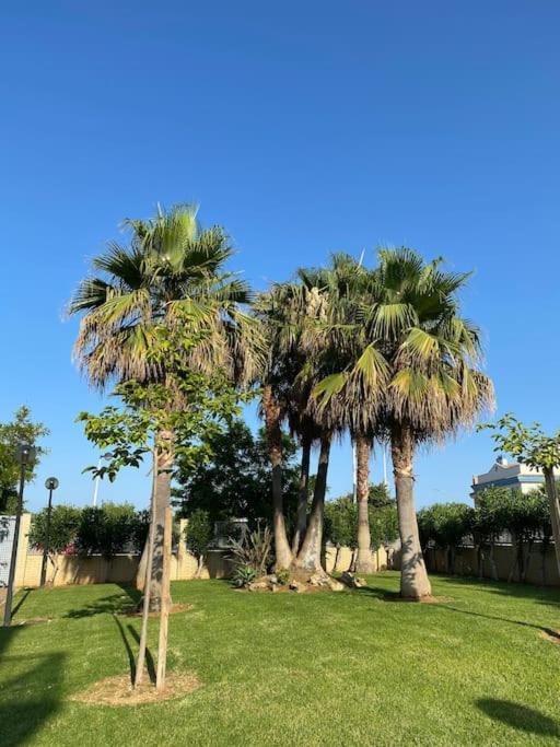 Bajo en primera línea de playa Alcossebre Exterior foto